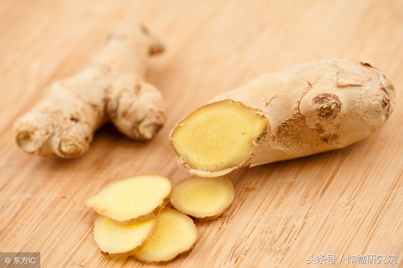 生姜要下雨天或高温可以培土吗,生姜大培土后遇暴雨后如何管理