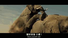 温情搞笑的英国电影,9部让人爆笑不已的英式幽默电影