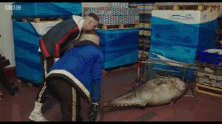 “我不是同性恋，如果是，我愿意和他搞基”