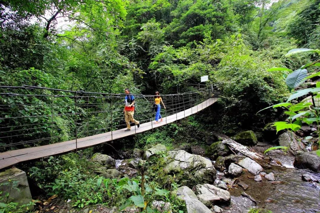 成都周边洗肺好去处,成都周边私藏的8个洗肺胜地