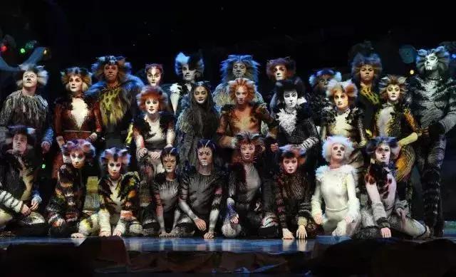 世界名著中的猫,盘点千奇百怪的猫