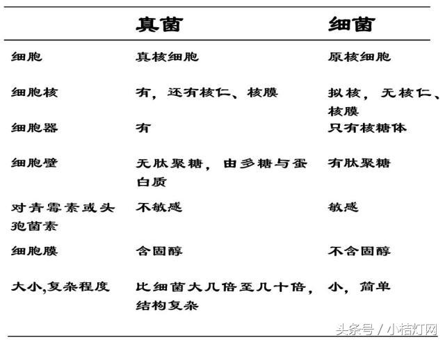 真菌微生物国标检测方法,微生物真菌检验
