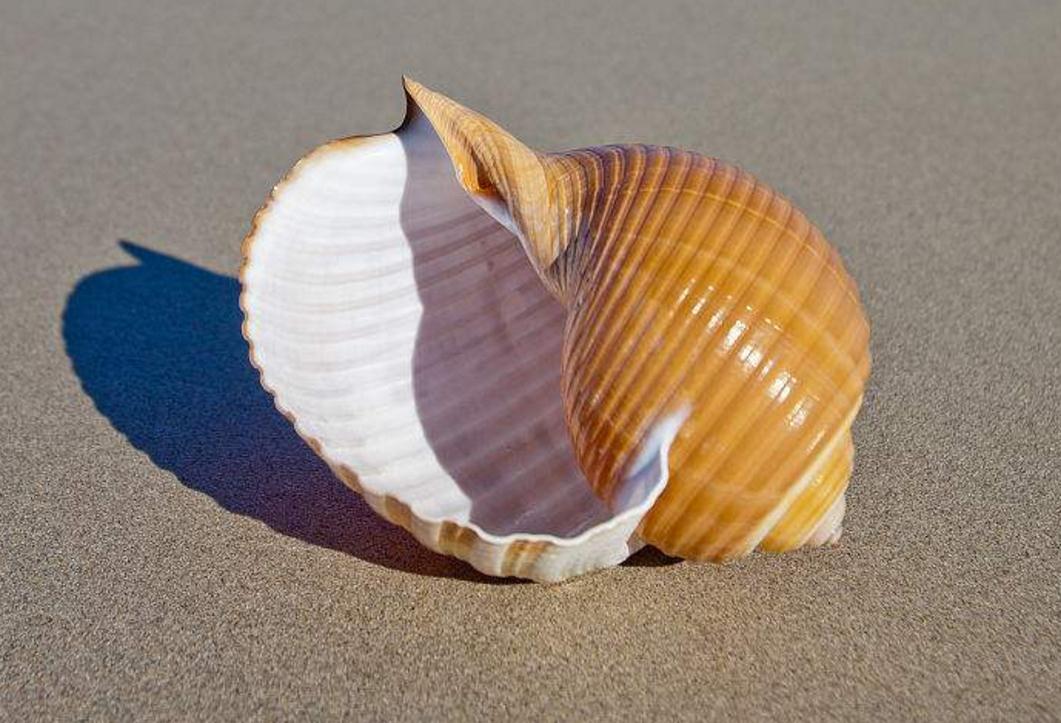 受到委屈励志美文,面对困难的美文