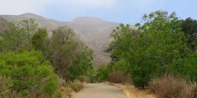 四月减肥正当时,4月份怎么减肥快