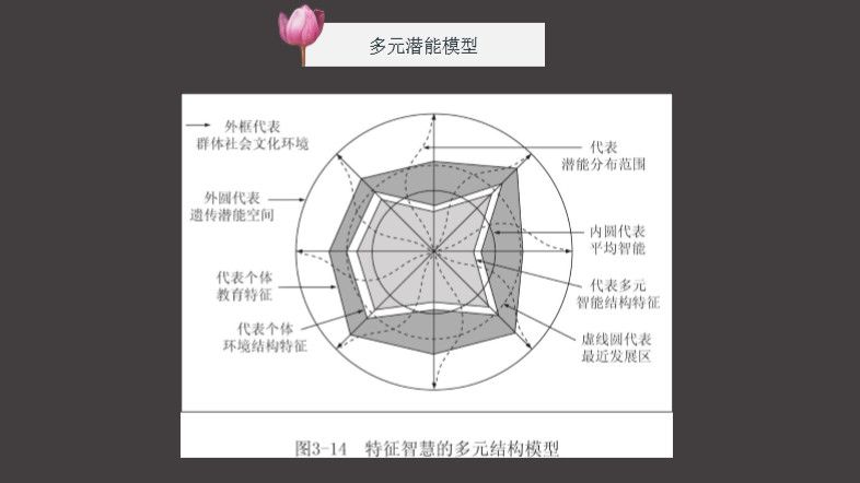 程跃博士金色摇篮,程跃博士简历