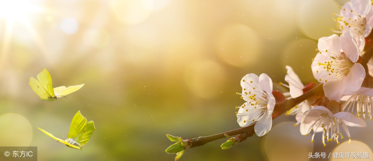 慢阻肺常用哪种药治疗,三联吸入治疗慢阻肺是什么药