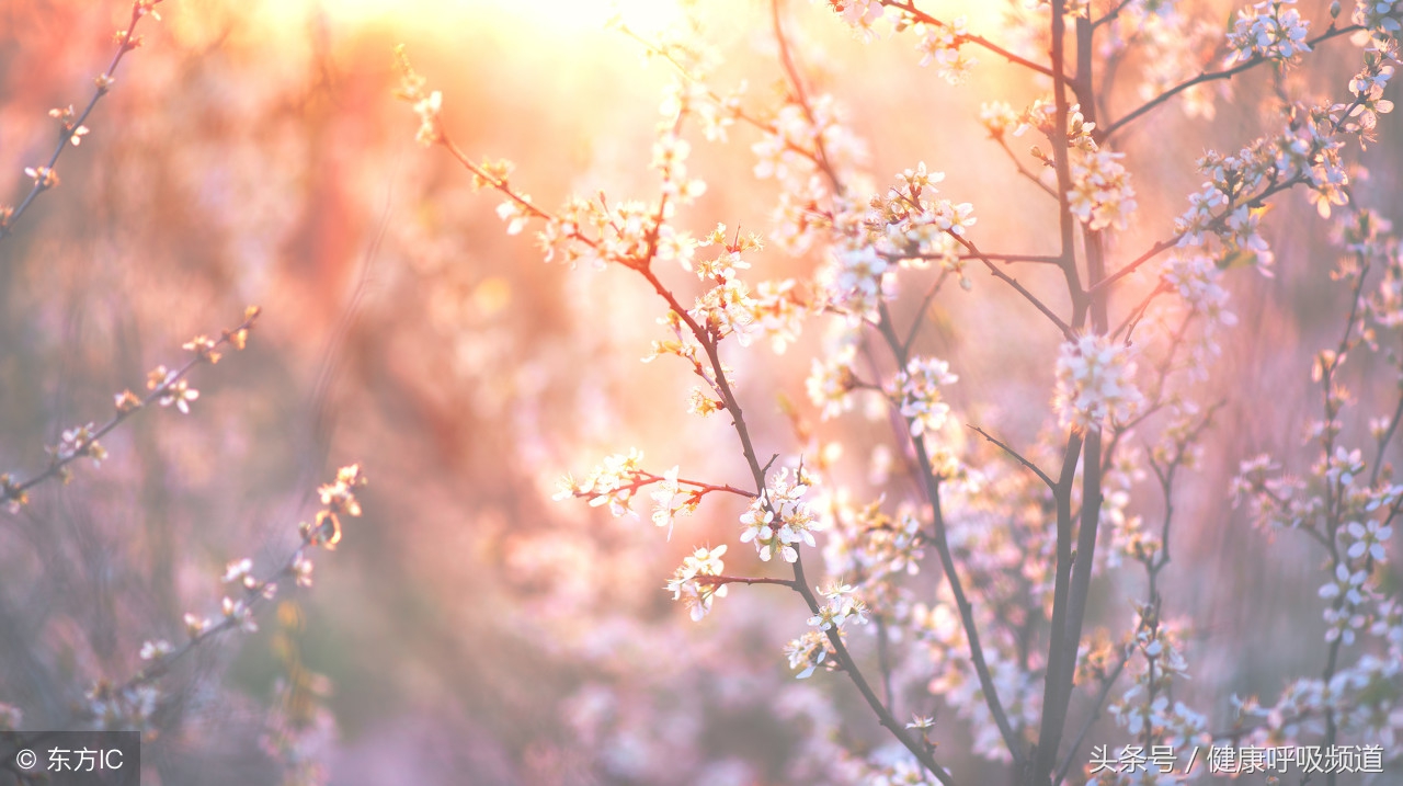 慢阻肺常用哪种药治疗,三联吸入治疗慢阻肺是什么药