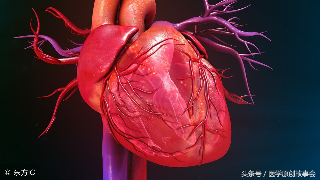 三大心脏救命药速效救心丸,速效救心丸适用哪种心脏病