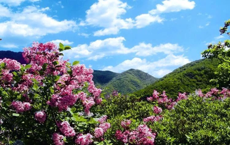 五一河北野三坡景区开放吗,野三坡景区门票优惠政策