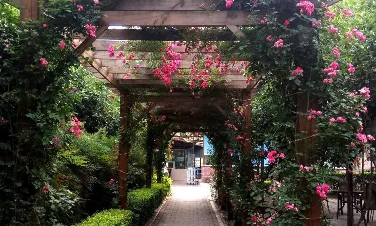 打牙祭成都,每周打牙祭