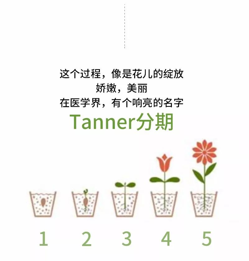 穿什么样的内衣对乳房发育有好处,乳房发育到什么样可以穿内衣