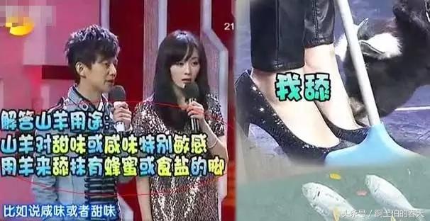 为什么总有人调侃杨幂脚臭，这下我总算明白了！