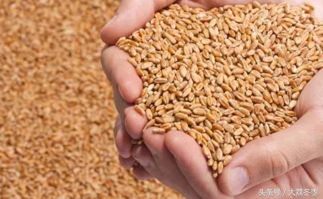 大家都知道面食是由小麦做的，那么关于小麦的知识你了解多少呢？