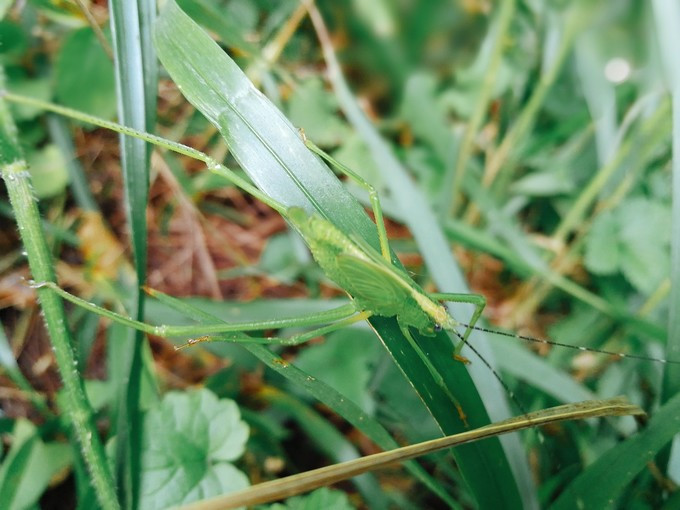涔濇邯鐙竴鏃犱簩,涔濇邯娓哥帺鎰熸偀