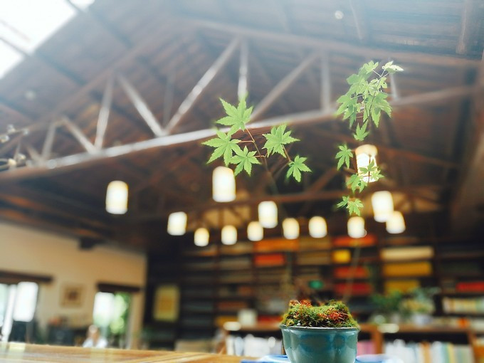 涔濇邯鐙竴鏃犱簩,涔濇邯娓哥帺鎰熸偀