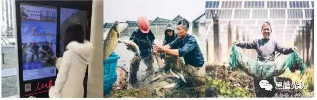 光伏储能龙头协鑫,光伏建筑一体化龙头协鑫