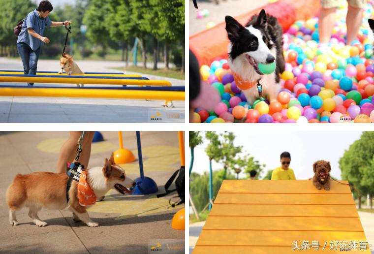 武汉海昌极地杯2018DOGRUN乐跑武汉站来啦！汉马月，一起跑起来！