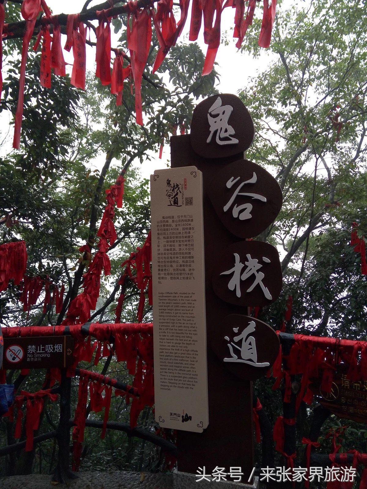 山东到张家界凤凰五日游攻略图文,佛山去张家界旅游攻略路线推荐图