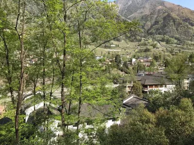 飞两千多公里,得到一座奇幻山林,一个温暖的家,一群有趣的人