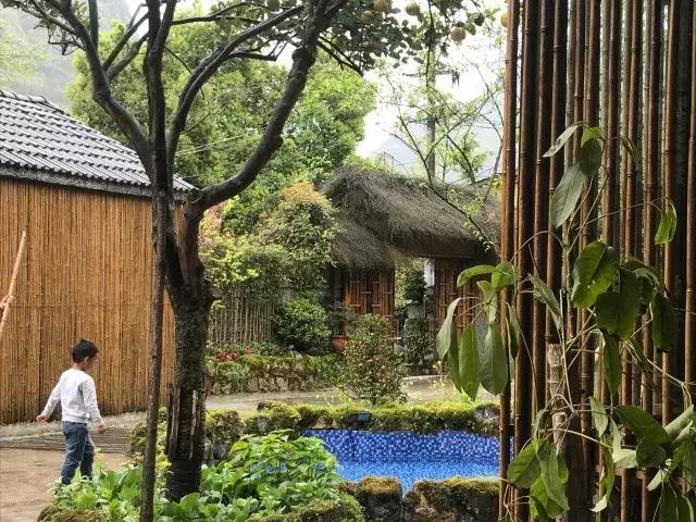 飞两千多公里,得到一座奇幻山林,一个温暖的家,一群有趣的人