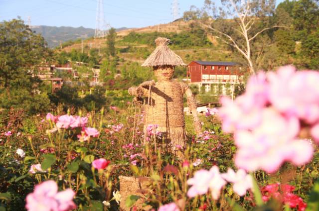 重庆风景让人一看心旷神怡的地方,秋日游重庆这里的景色别样好