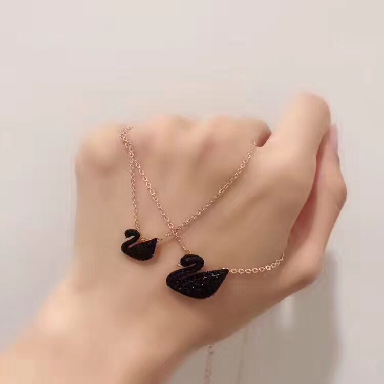 惊喜黑天鹅飞临凉水河优雅又漂亮 (黑天鹅很美)