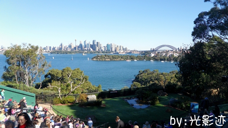 澳洲旅游必去动物园,澳洲动物园游记