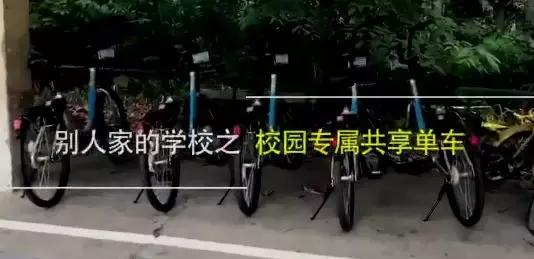 男子在专柜买lv买到假货,男子买包怀疑是假lv