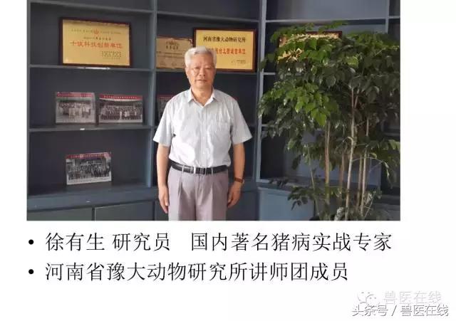 有图有真相——看猪病专家进行蓝耳病的现场诊断和详解！