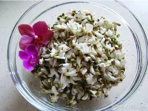 爱吃槐花的一定要收藏,吃槐花有哪些禁忌事项