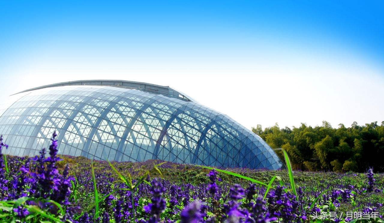 悦兮半岛国际温泉度假村,悦兮半岛度假村地图