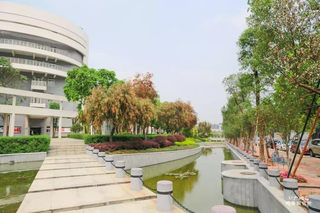 星海音乐学院行进,星海音乐学院声乐系颜值