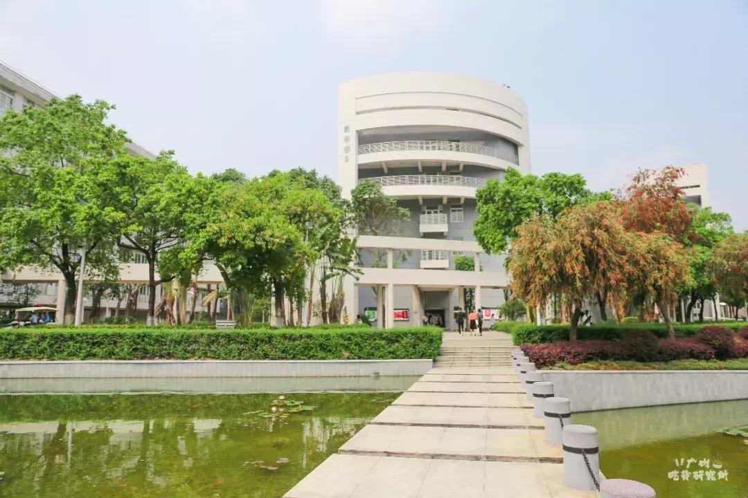 星海音乐学院行进,星海音乐学院声乐系颜值