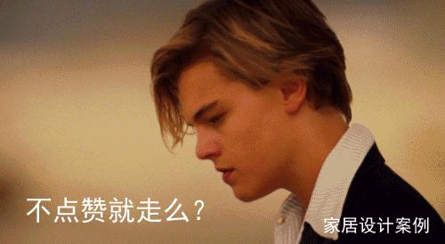 客厅好养的花草植物有哪些,什么花草放在客厅最好