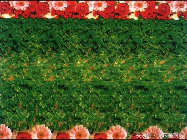 神奇的图片立体,神奇立体3d图