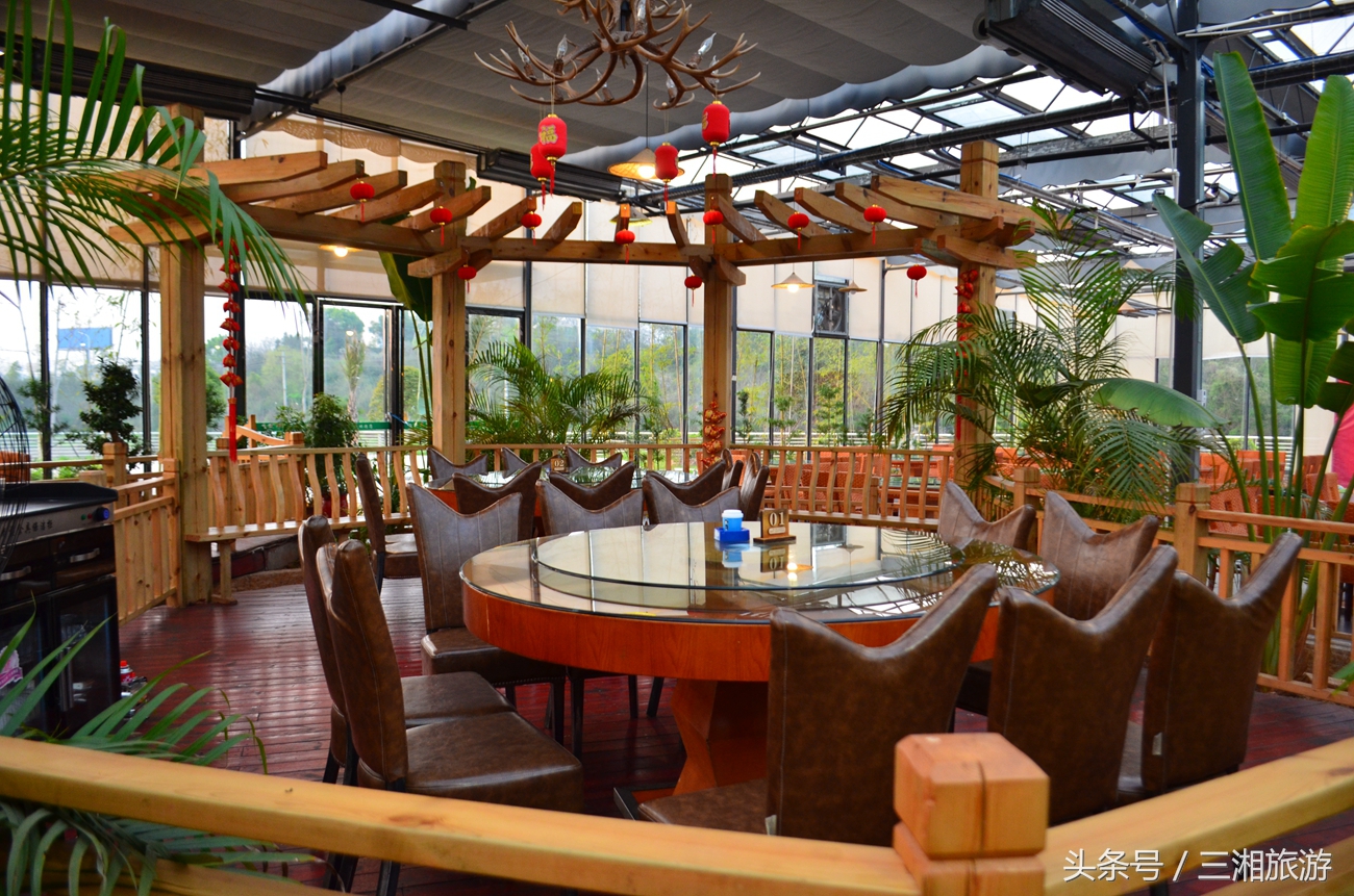 株洲生态休闲农庄生态餐饮,株洲野生鱼饭店