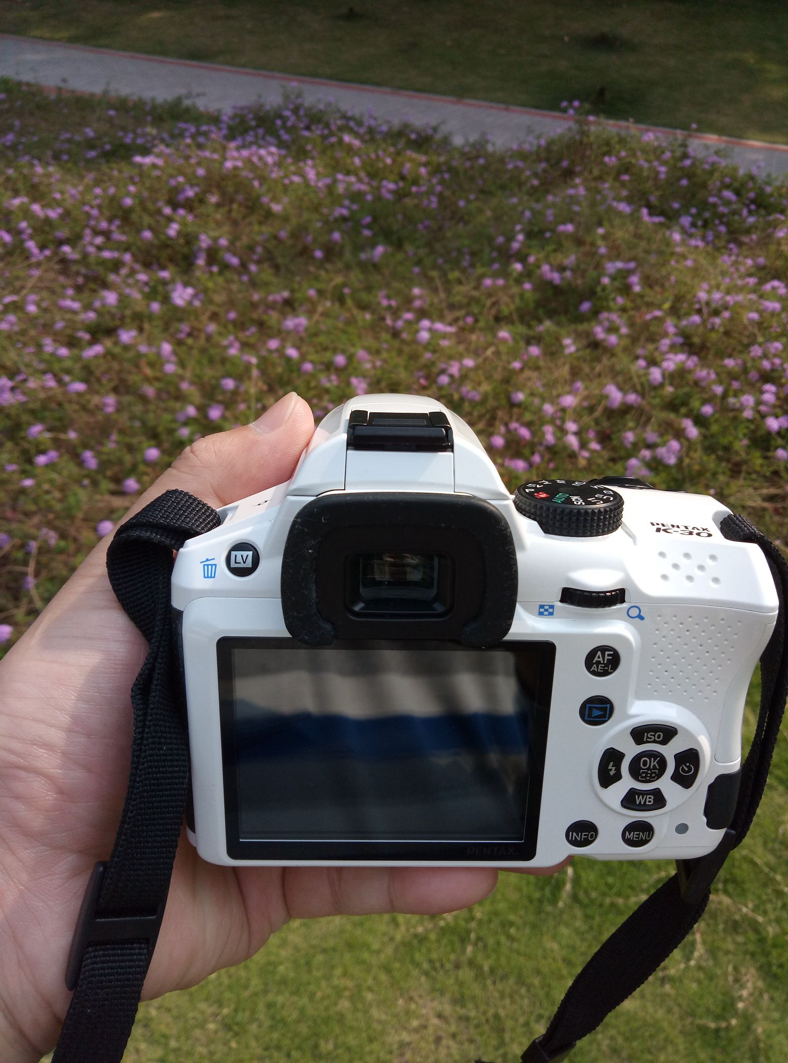 宾得k30图片,宾得k30样片