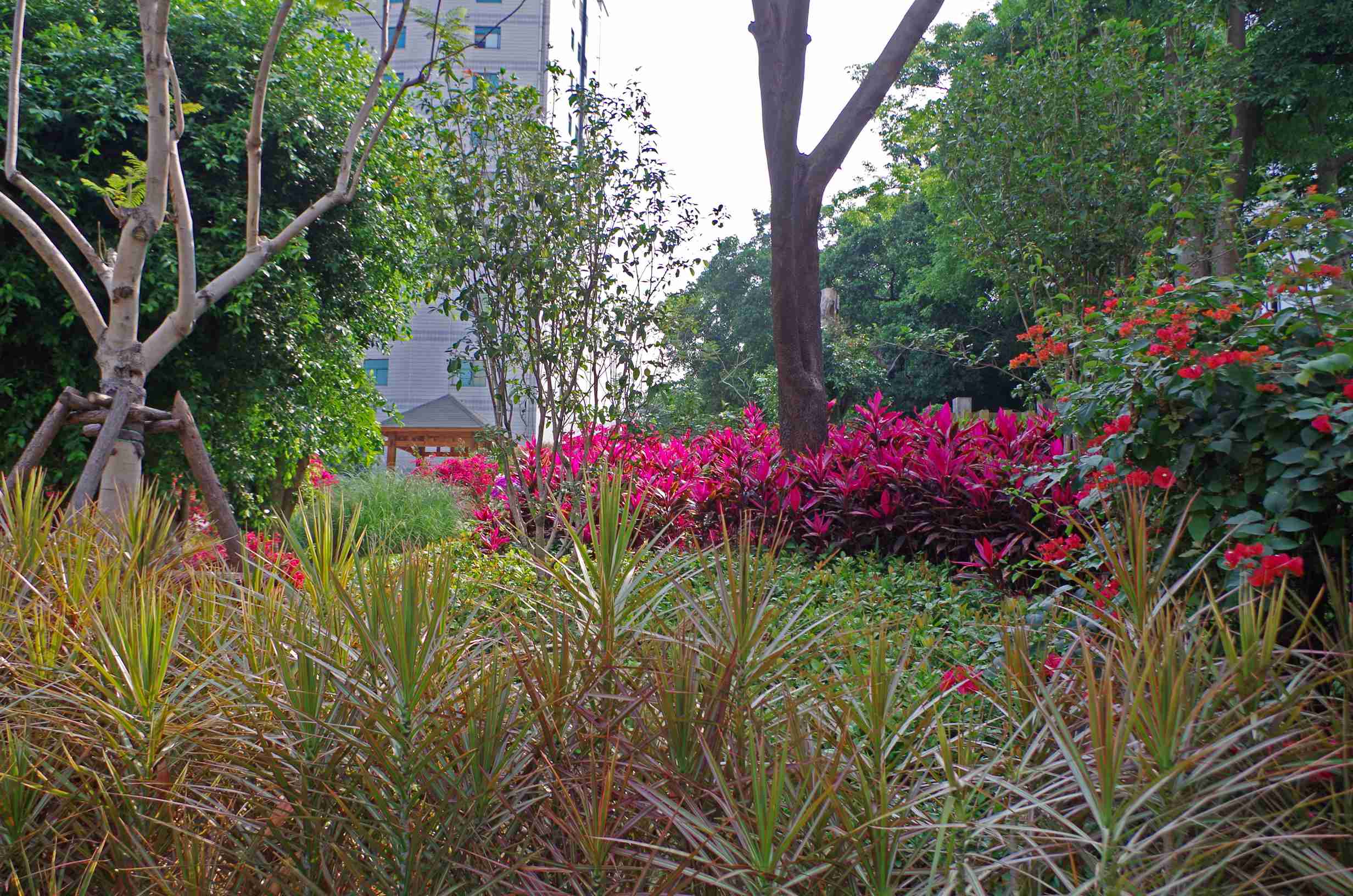 宾得k30图片,宾得k30样片