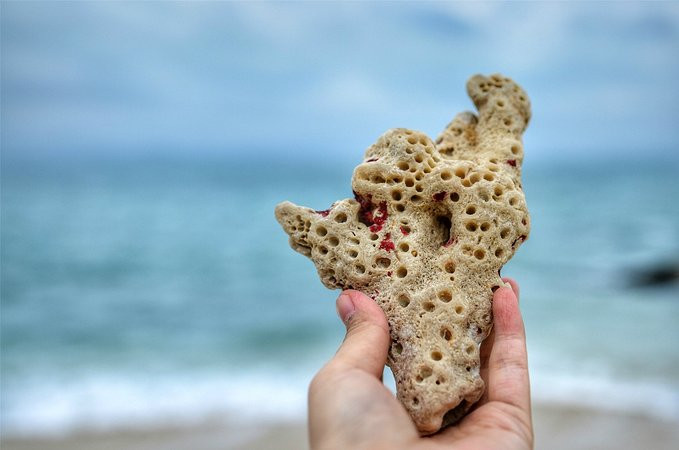 爱旅行爱生活之海南三亚蜈支洲,爱旅行游记攻略