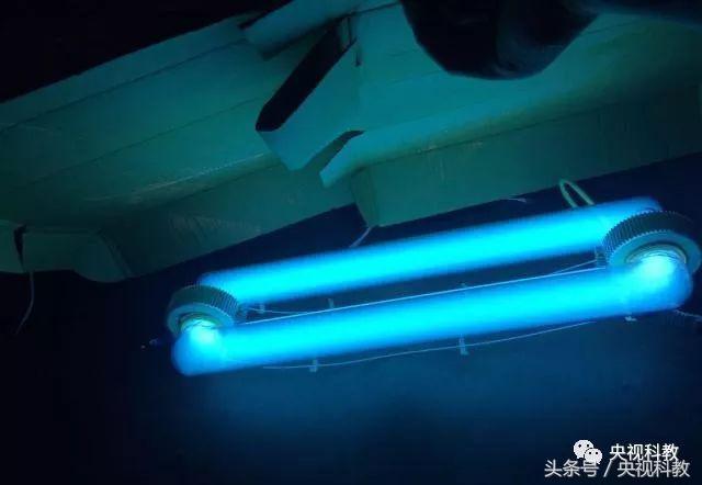 绿植除甲醛效果如何,清水加醋能除甲醛吗