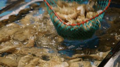 天津高端自助海鲜价位,天津顶级自助海鲜