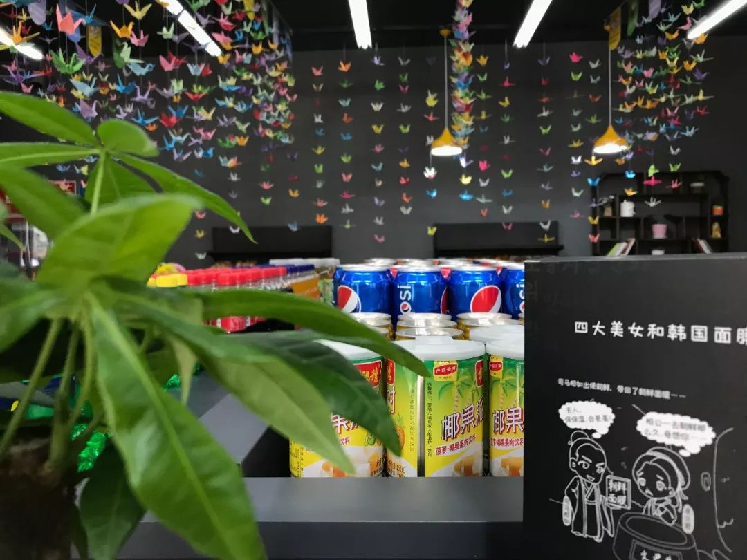 懒猫社长便利店开业,懒猫社长便利店视频