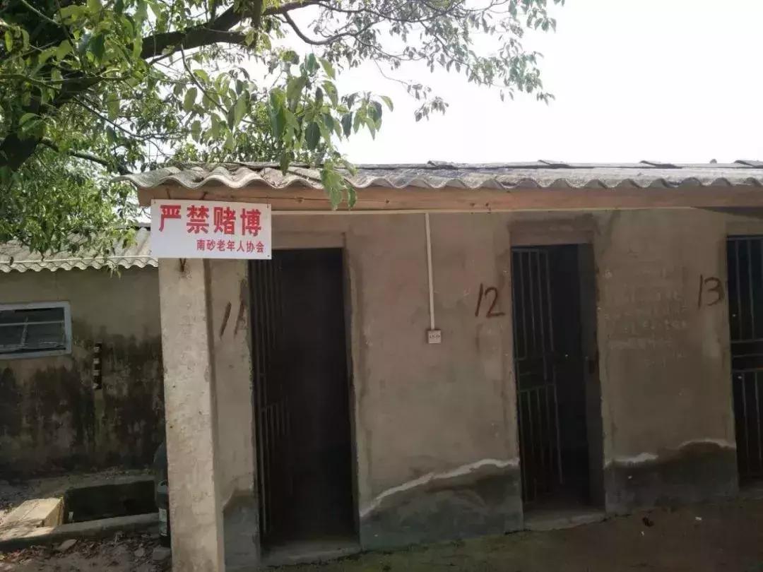 「独家」斗狗赌博案侦破实录丨什么的“游戏”让老人们如此疯狂？