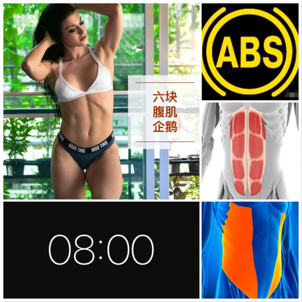 8分钟腹肌训练方法,8分钟高级腹肌训练