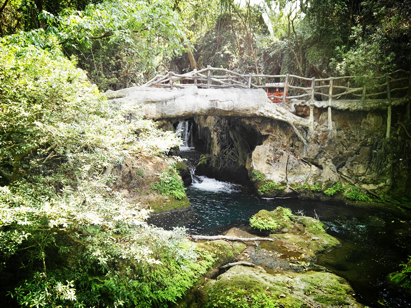 黄果树壮丽加天星桥精致繁复再加上陡坡塘的清雅成就完美布局