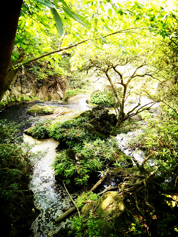 黄果树壮丽加天星桥精致繁复再加上陡坡塘的清雅成就完美布局