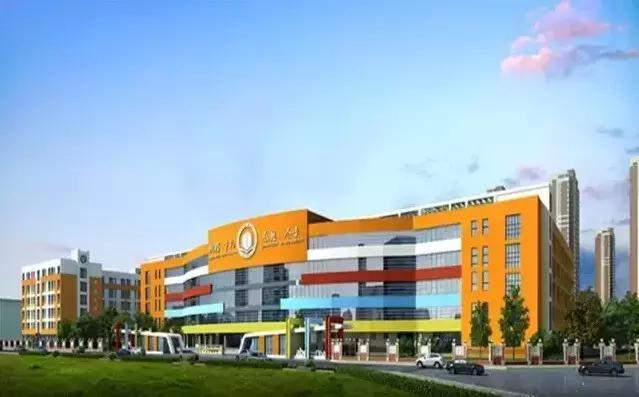 保定市区有哪些好的小学学校,保定市十大民办小学