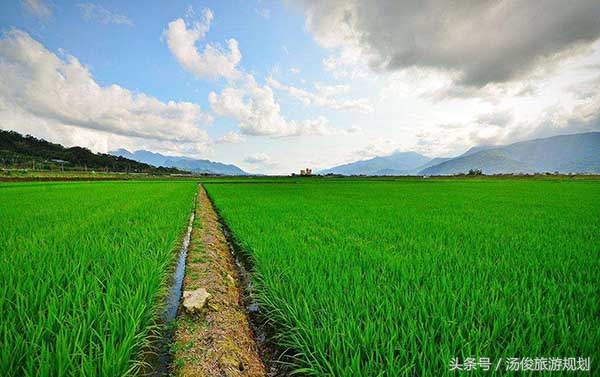 乡村振兴四荒地如何加以开发利用,乡村振兴荒地变绿