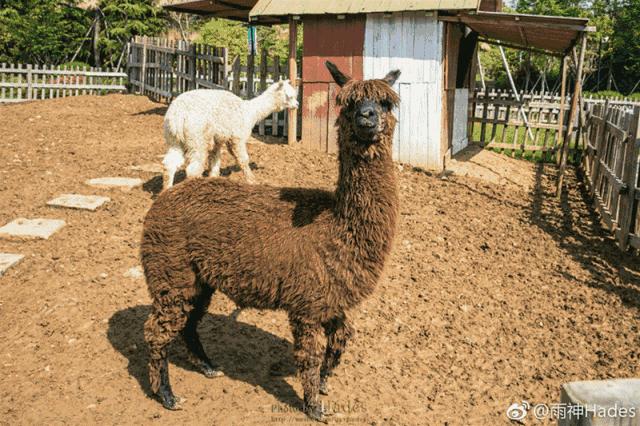 常州五一旅游推荐,常州夜景旅游攻略必去景点