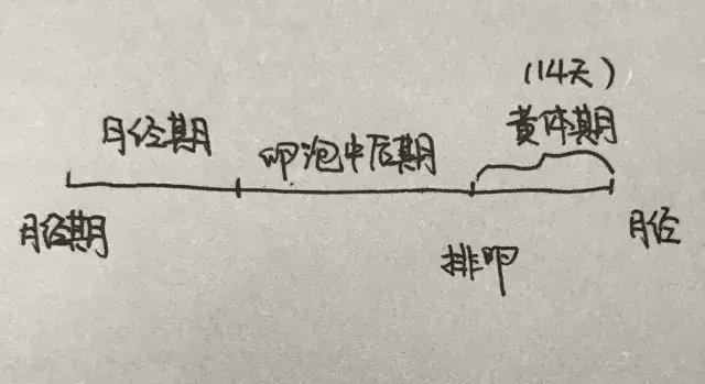 女性跑步后有点出血怎么治,女子夜跑后休克倒地原因为何